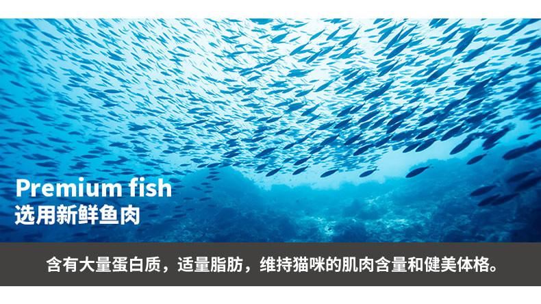 品儿欢全价猫粮03.jpg